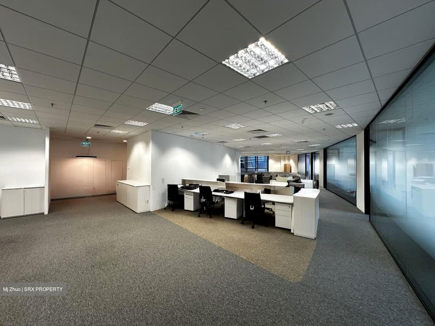 PLUS (D1), Office #543093781